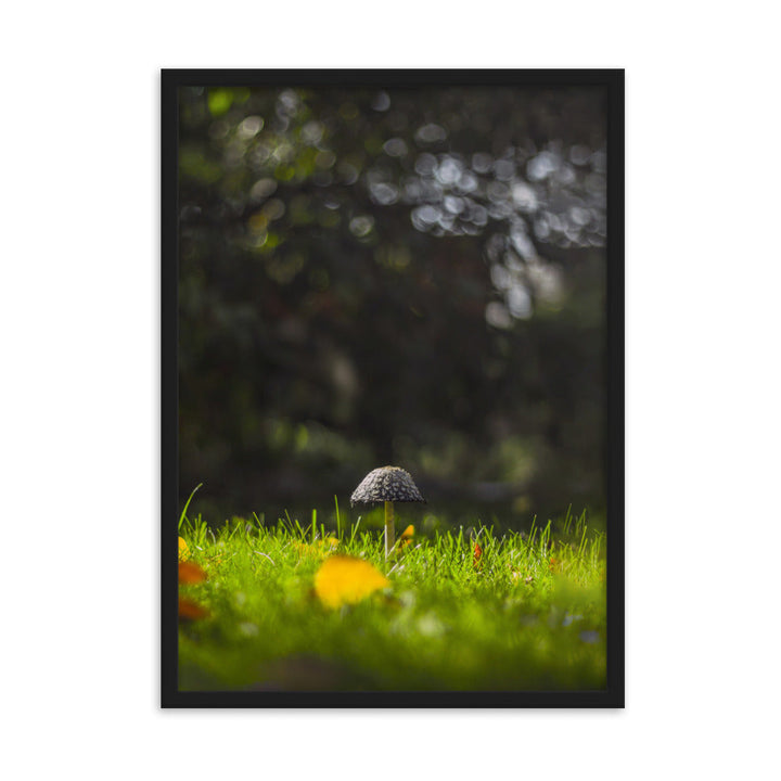 Poster mit Rahmen - Pilz Schwarz / 50×70 cm artlia