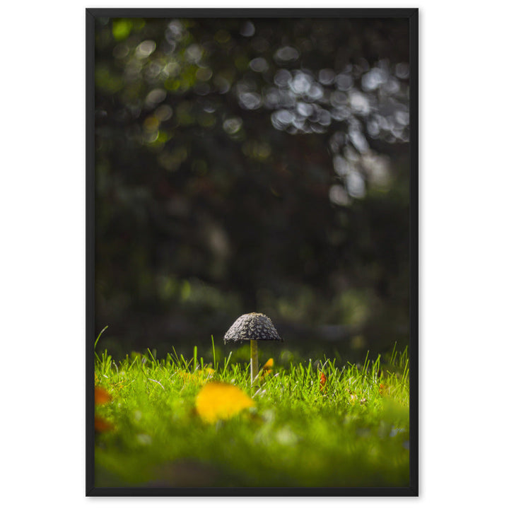 Poster mit Rahmen - Pilz Schwarz / 61×91 cm artlia