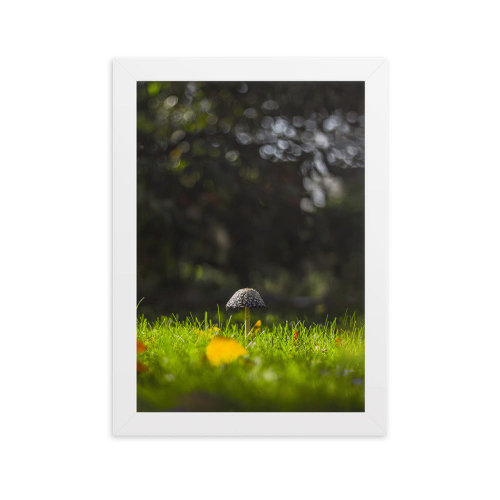 Poster mit Rahmen - Pilz Weiß / 21×30 cm artlia