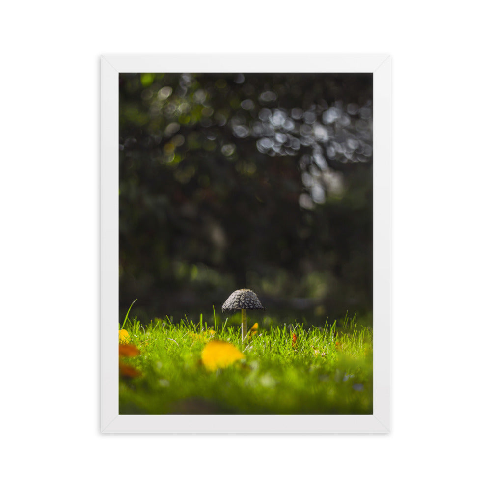 Poster mit Rahmen - Pilz Weiß / 30×40 cm artlia