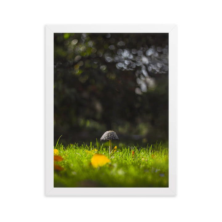Poster mit Rahmen - Pilz Weiß / 30×40 cm artlia