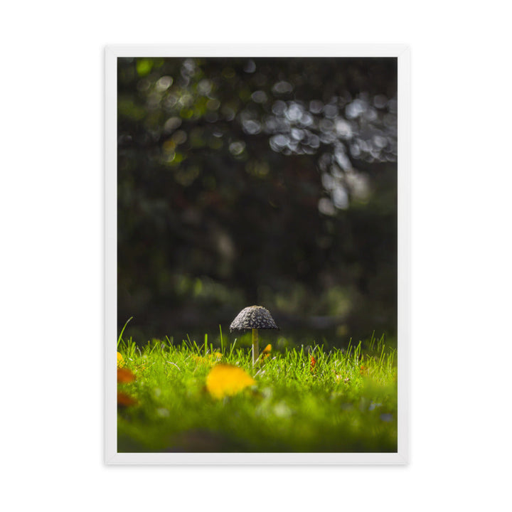 Poster mit Rahmen - Pilz Weiß / 50×70 cm artlia