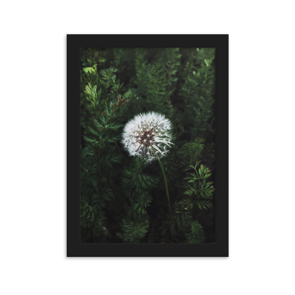 Poster mit Rahmen - Pusteblume Schwarz / 21×30 cm artlia