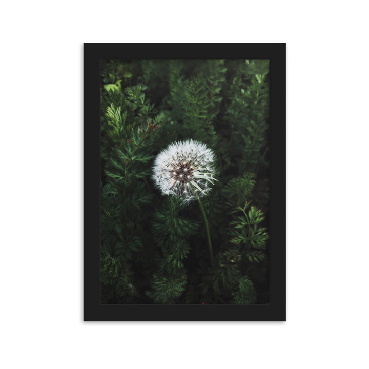 Poster mit Rahmen - Pusteblume Schwarz / 21×30 cm artlia