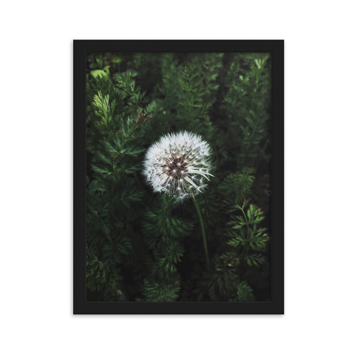 Poster mit Rahmen - Pusteblume Schwarz / 30×40 cm artlia