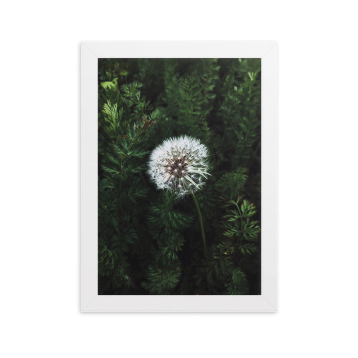 Poster mit Rahmen - Pusteblume Weiß / 21×30 cm artlia