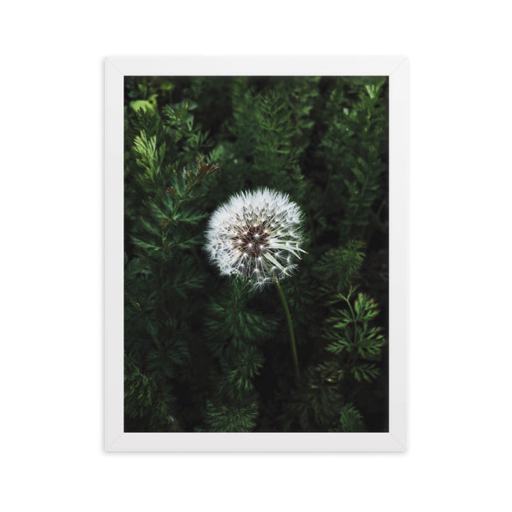 Poster mit Rahmen - Pusteblume Weiß / 30×40 cm artlia