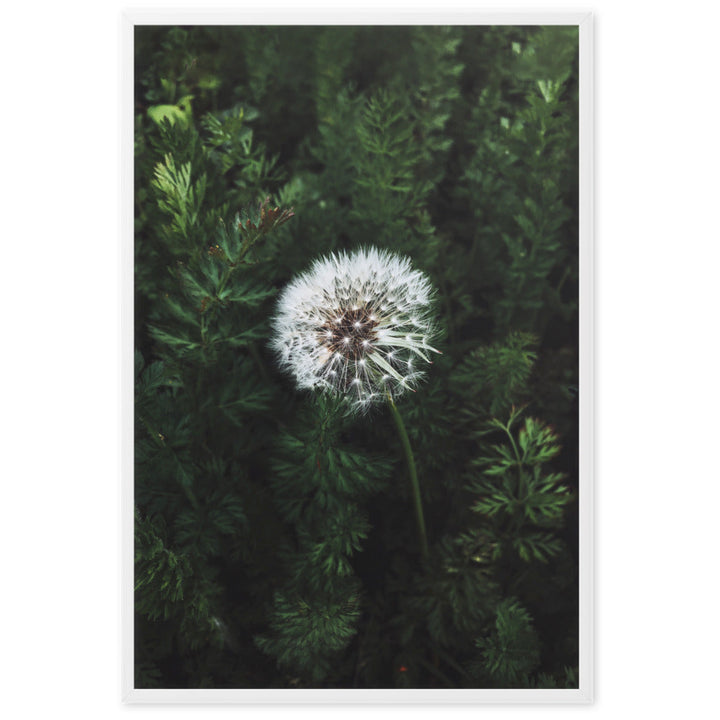 Poster mit Rahmen - Pusteblume Weiß / 61×91 cm artlia