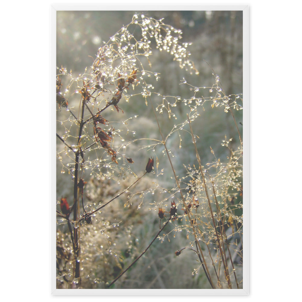 Poster - Winter Dews artlia