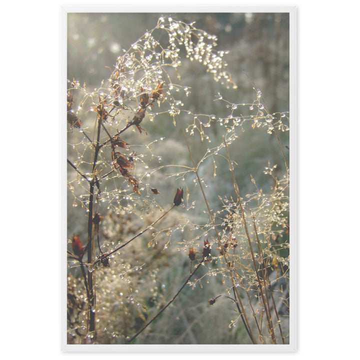 Poster - Winter Dews artlia