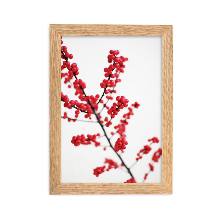 Red Berries - Poster im Rahmen Oak / 21×30 cm artlia