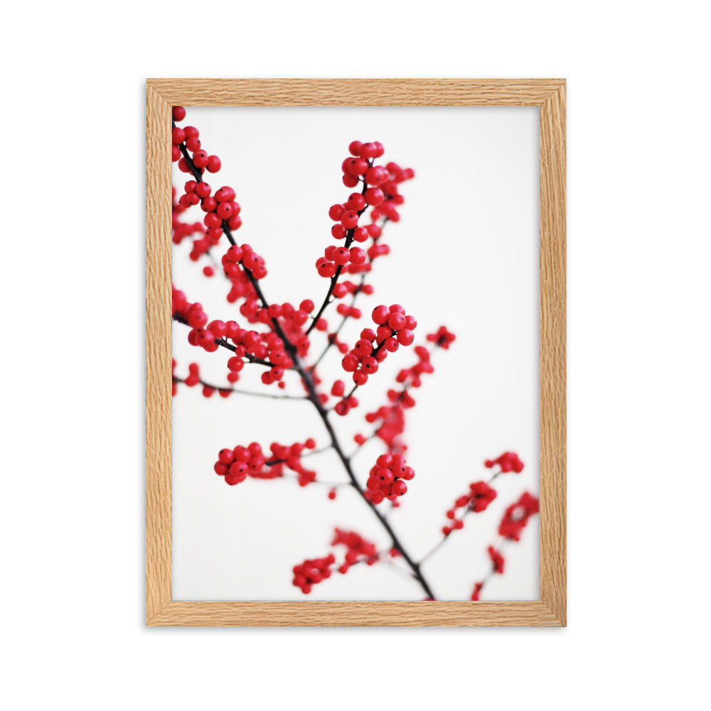 Red Berries - Poster im Rahmen Oak / 30×40 cm artlia