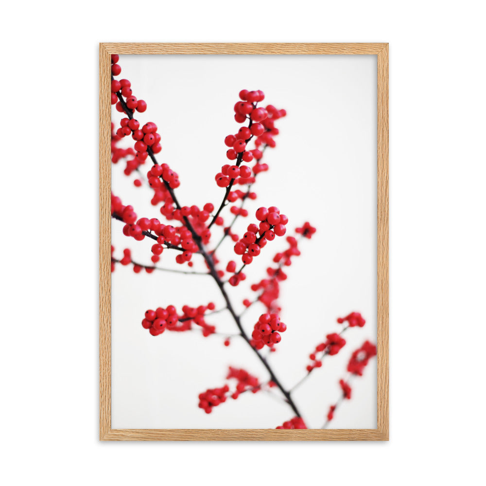 Red Berries - Poster im Rahmen Oak / 50×70 cm artlia