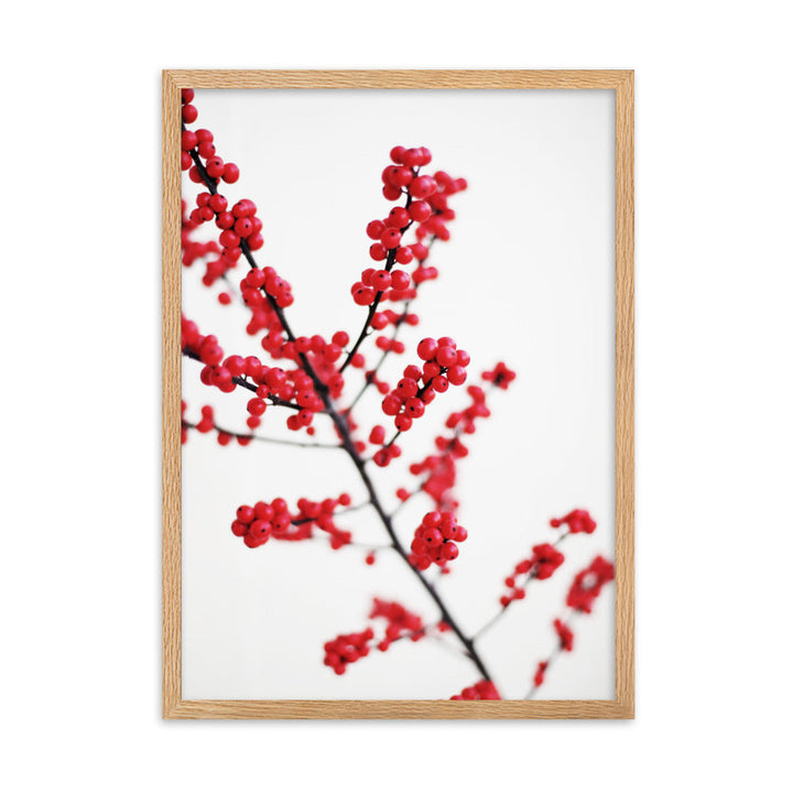 Red Berries - Poster im Rahmen Oak / 50×70 cm artlia