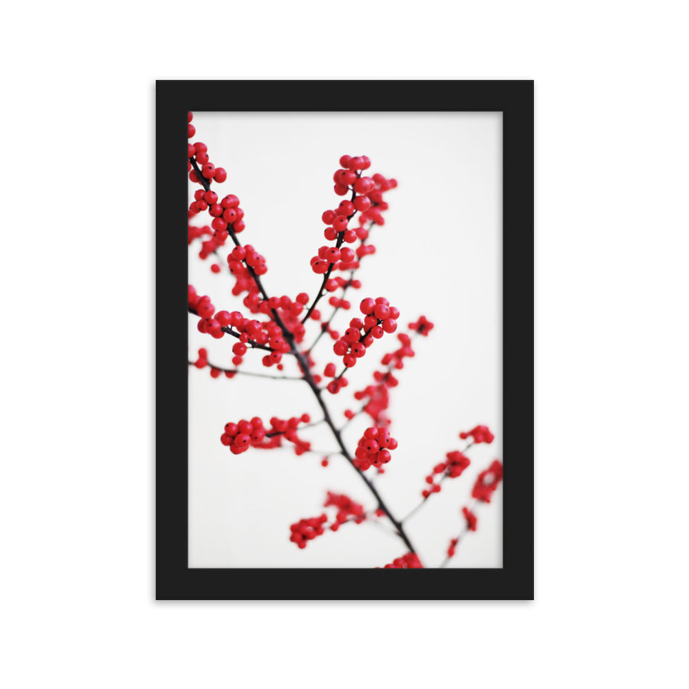 Red Berries - Poster im Rahmen Schwarz / 21×30 cm artlia