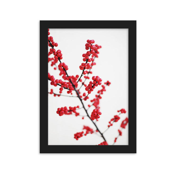 Red Berries - Poster im Rahmen Schwarz / 21×30 cm artlia