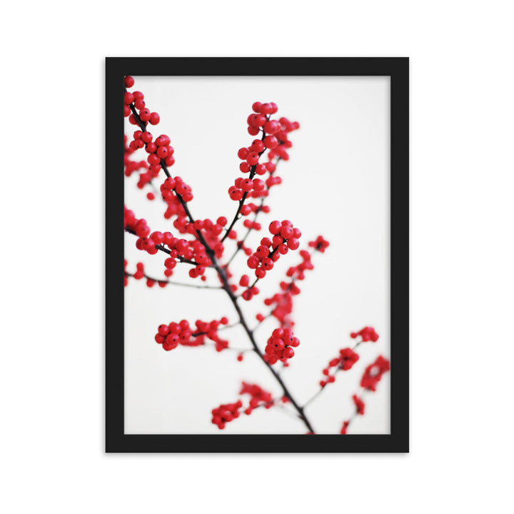 Red Berries - Poster im Rahmen Schwarz / 30×40 cm artlia