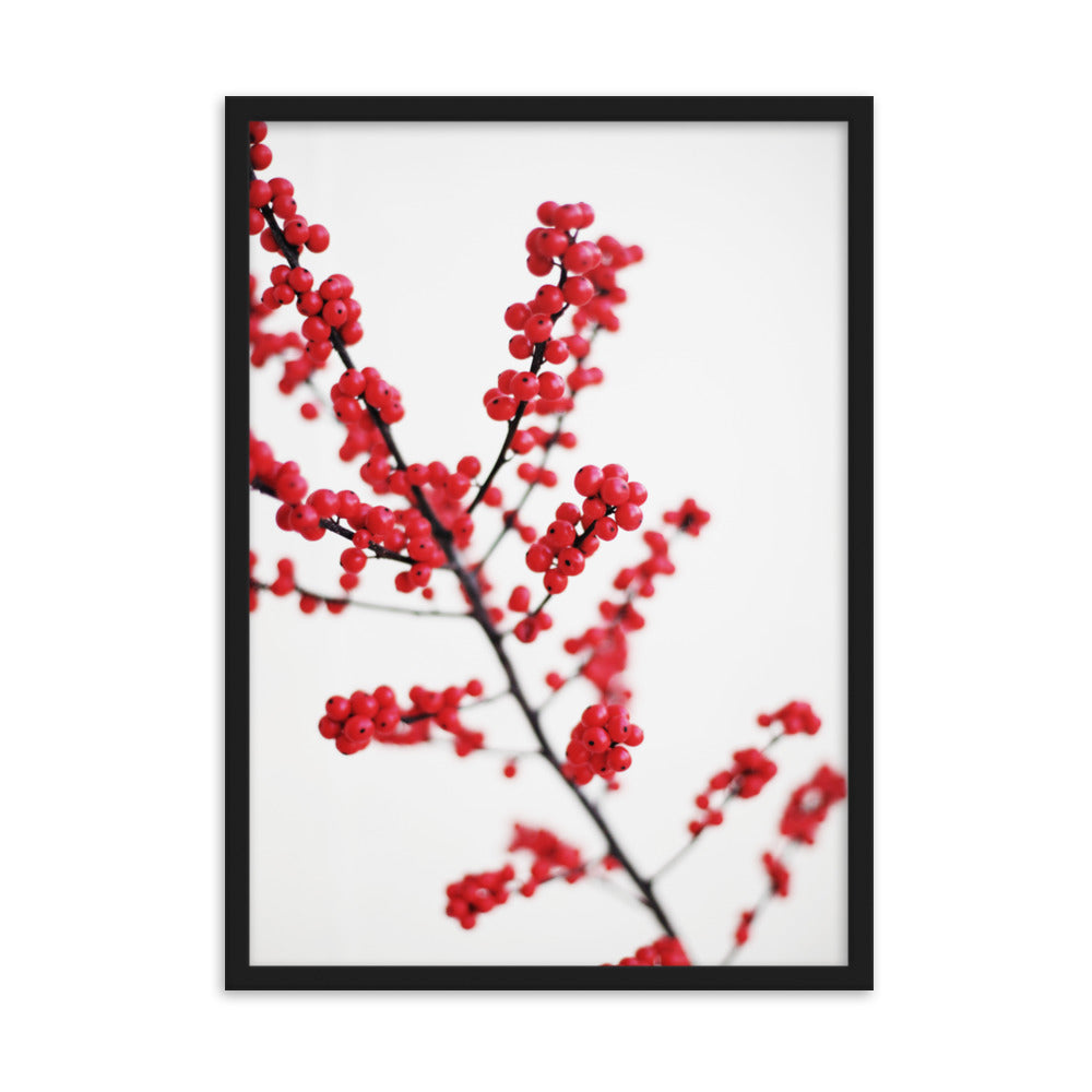 Red Berries - Poster im Rahmen Schwarz / 50×70 cm artlia