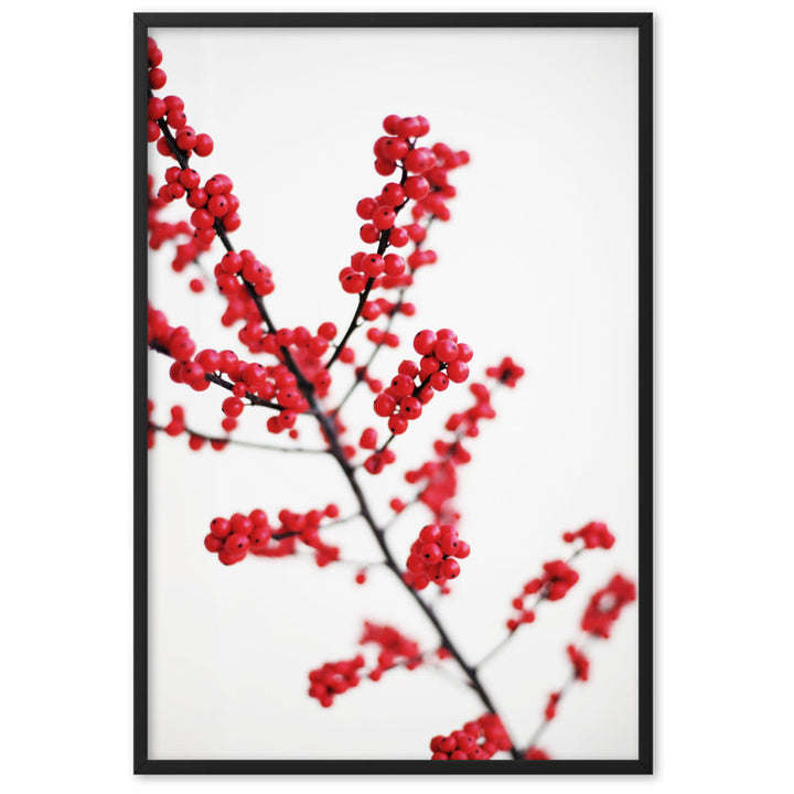 Red Berries - Poster im Rahmen Schwarz / 61×91 cm artlia