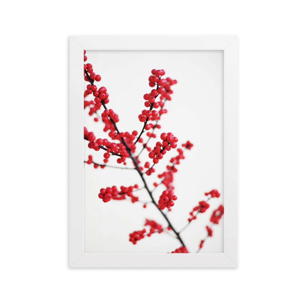 Red Berries - Poster im Rahmen Weiß / 21×30 cm artlia
