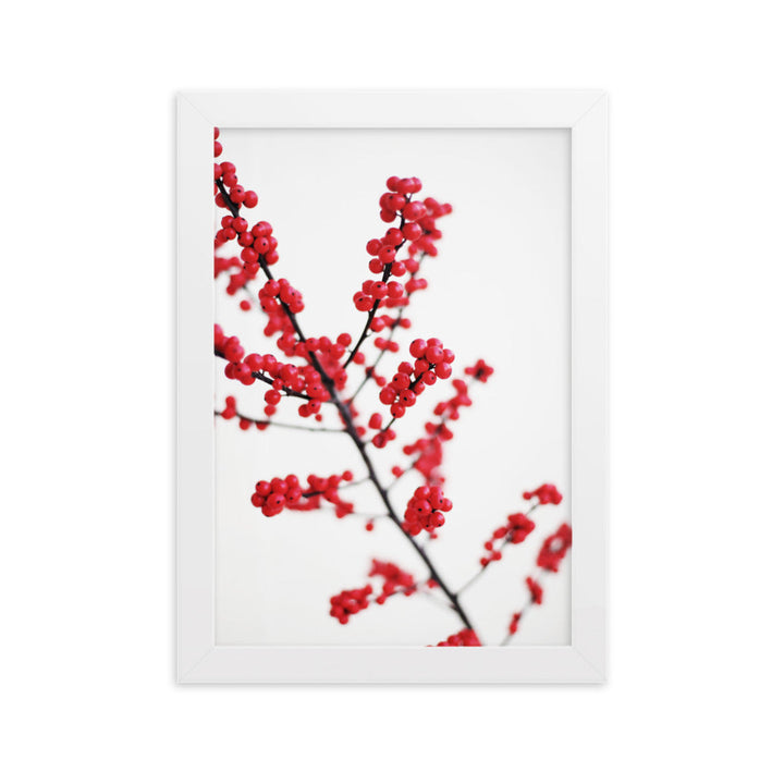 Red Berries - Poster im Rahmen Weiß / 21×30 cm artlia