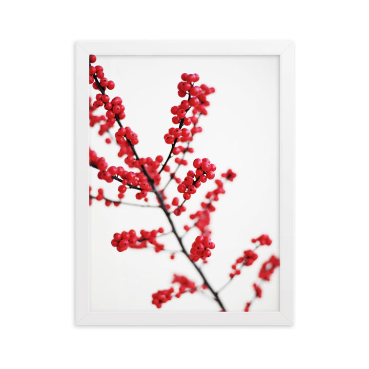 Red Berries - Poster im Rahmen Weiß / 30×40 cm artlia
