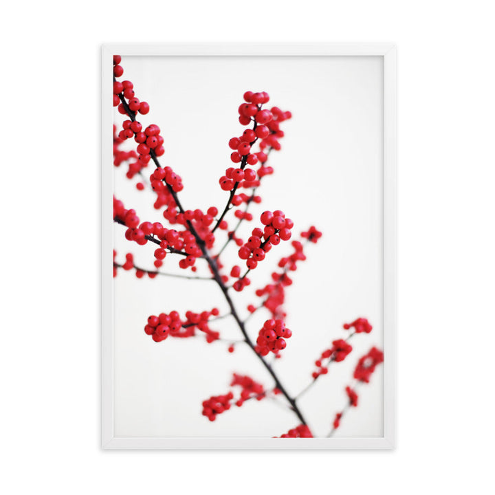 Red Berries - Poster im Rahmen Weiß / 50×70 cm artlia
