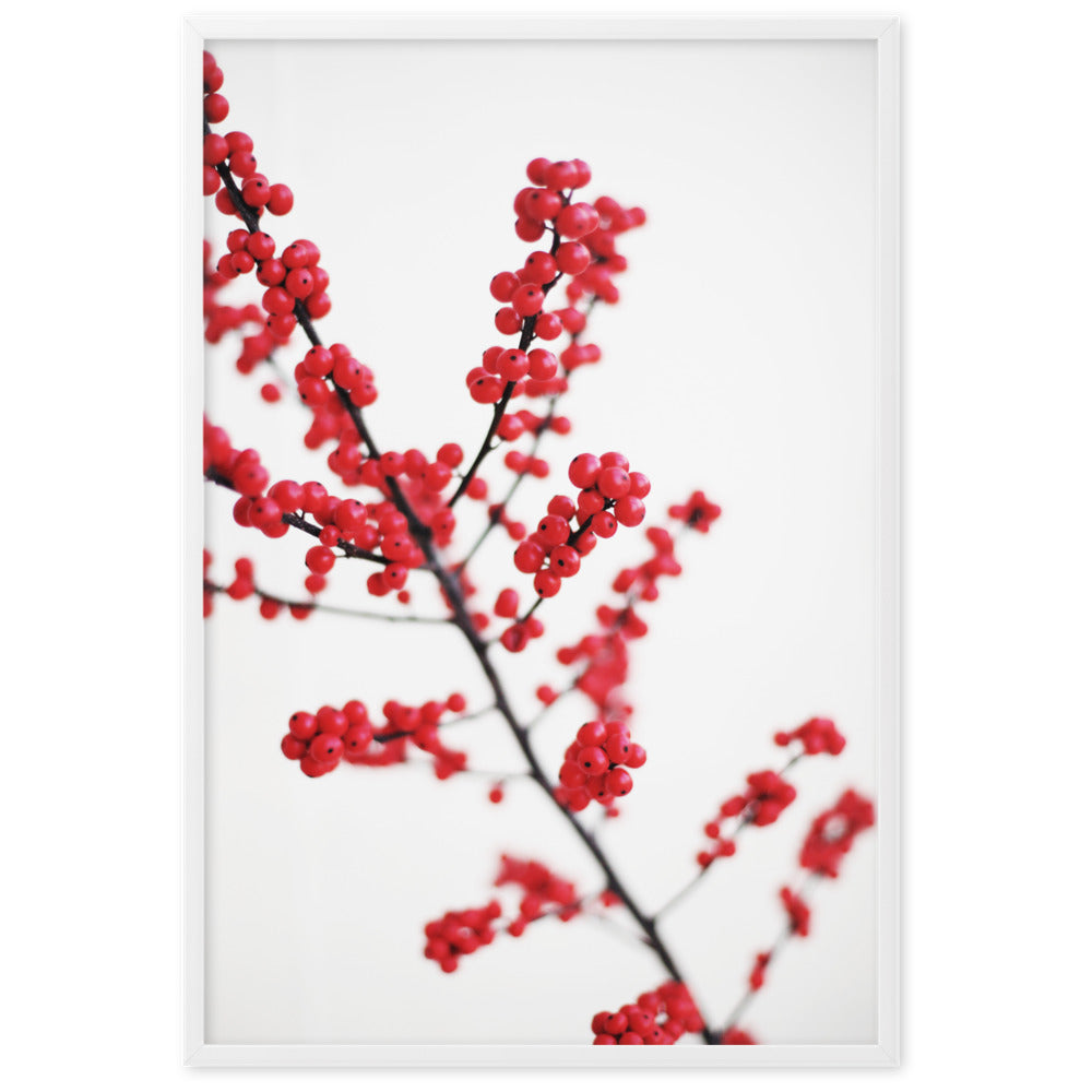 Red Berries - Poster im Rahmen Weiß / 61×91 cm artlia