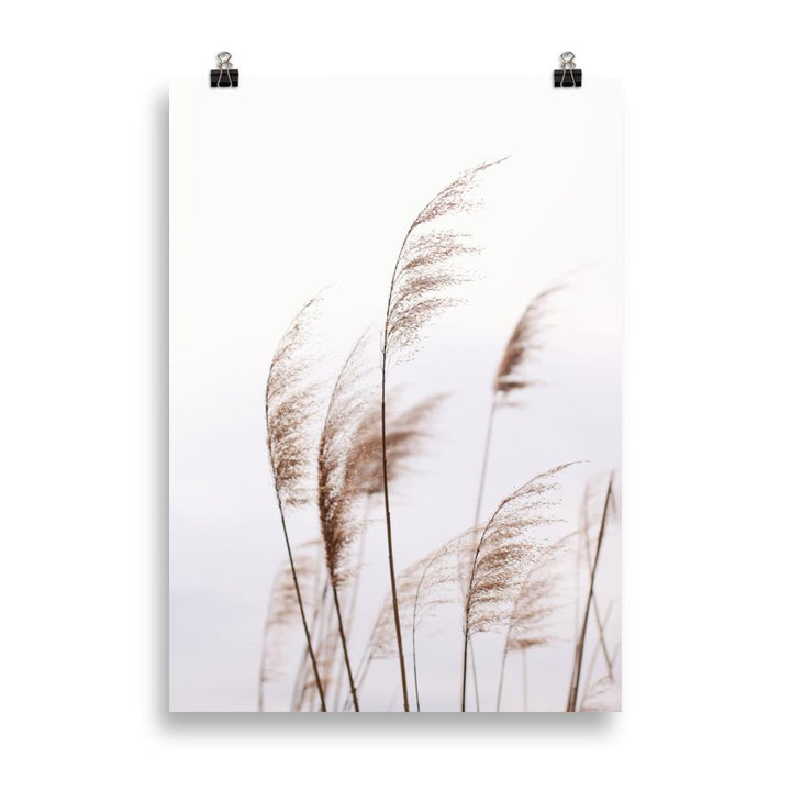 Schilf Reeds 01 - Poster artlia