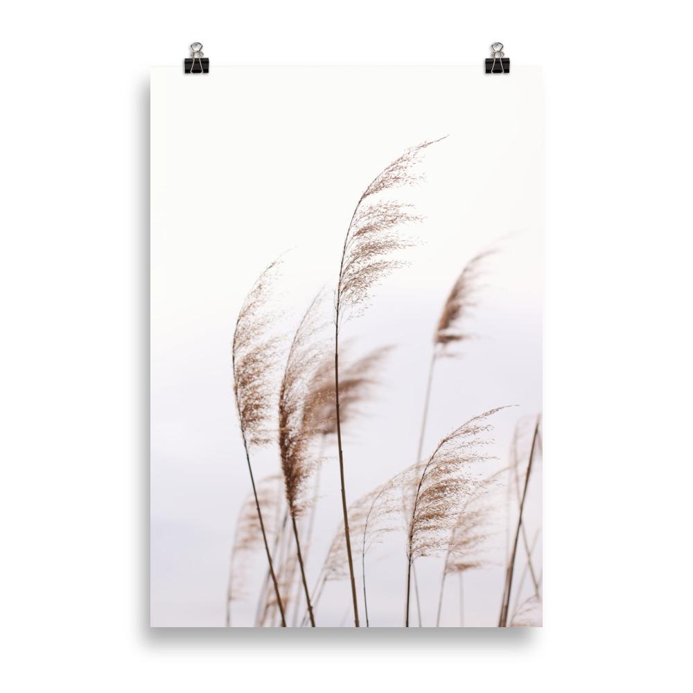 Schilf Reeds 01 - Poster 21×30 cm artlia