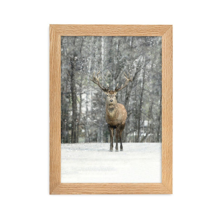 Rotwild im Schnee - Poster im Rahmen Oak / 21×30 cm artlia