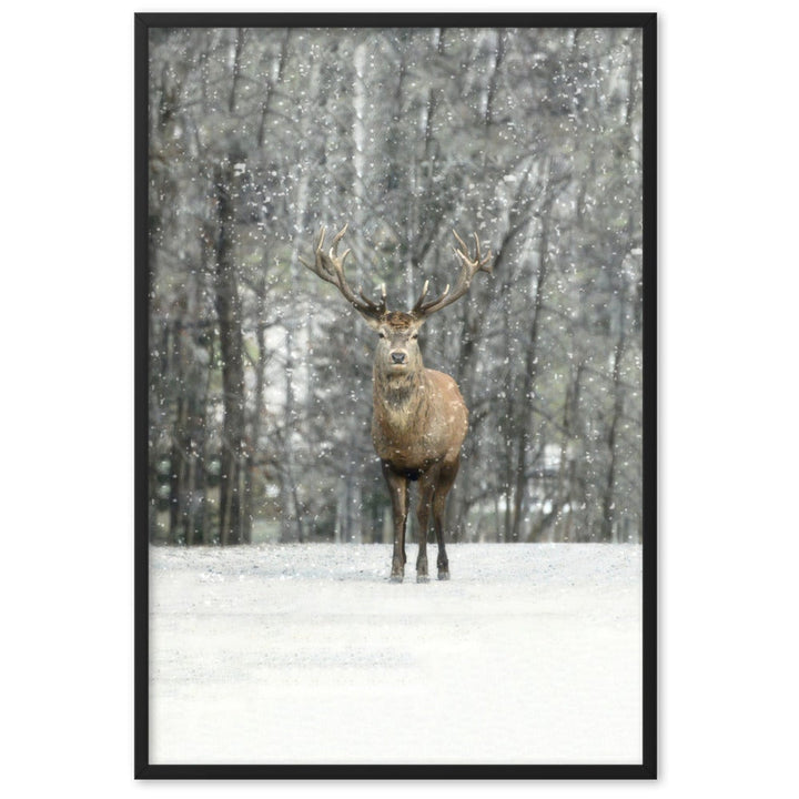 Rotwild im Schnee - Poster im Rahmen Schwarz / 61×91 cm artlia