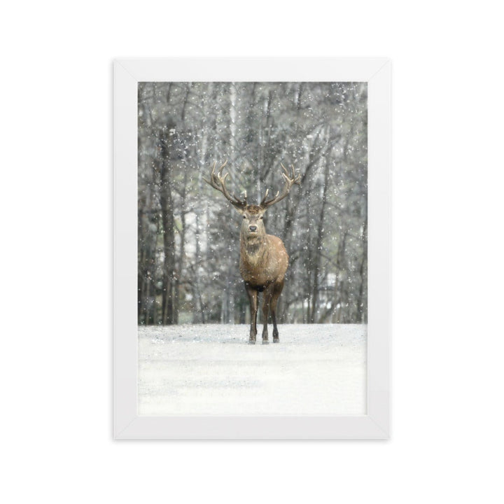 Rotwild im Schnee - Poster im Rahmen Weiß / 21×30 cm artlia