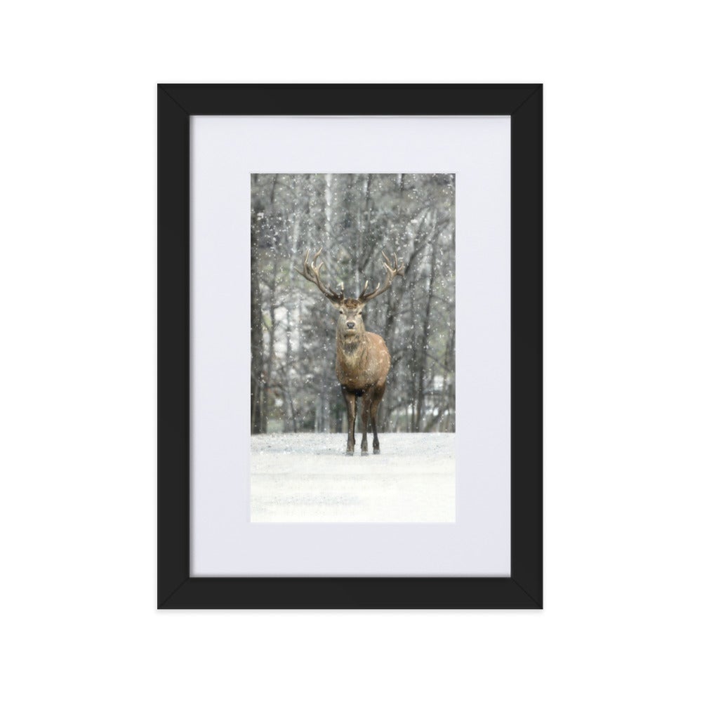 Rotwild im Schnee - Poster im Rahmen mit Passepartout Schwarz / 21×30 cm artlia