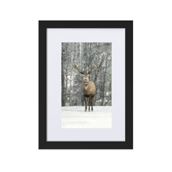 Rotwild im Schnee - Poster im Rahmen mit Passepartout Schwarz / 21×30 cm artlia