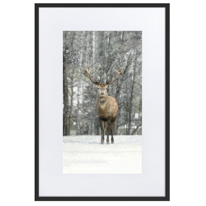 Rotwild im Schnee - Poster im Rahmen mit Passepartout Schwarz / 61×91 cm artlia