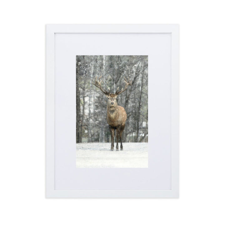 Rotwild im Schnee - Poster im Rahmen mit Passepartout Weiß / 30×40 cm artlia