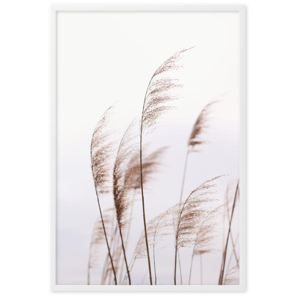 Schilf Reeds 01 - Poster artlia