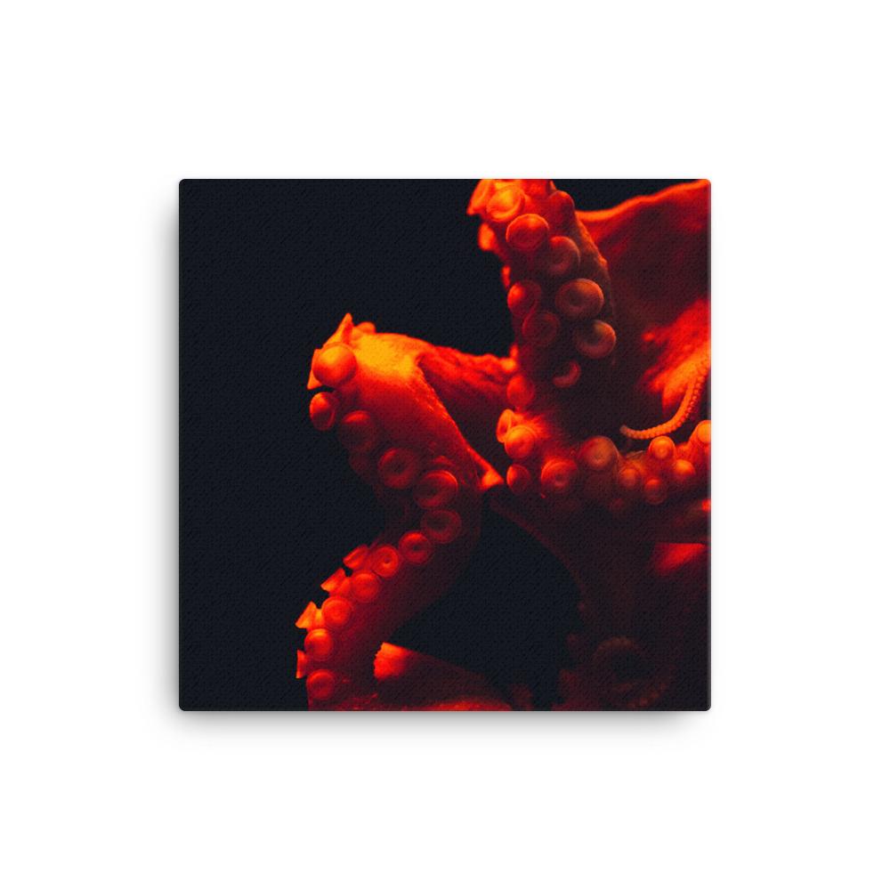 Wütender Oktopus - Leinwand 30x30 cm artlia