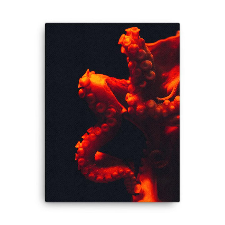 Wütender Oktopus - Leinwand 30x41 cm artlia