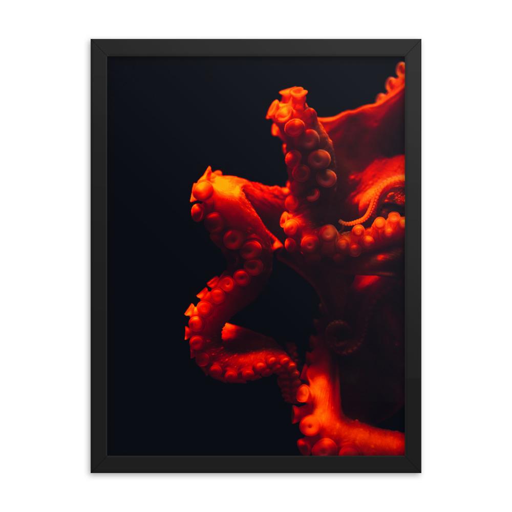 Wütender Oktopus - Poster im Rahmen schwarz / 30x41 cm artlia