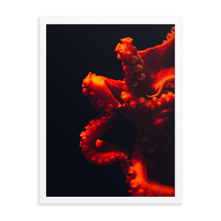 Wütender Oktopus - Poster im Rahmen weiß / 30x41 cm artlia