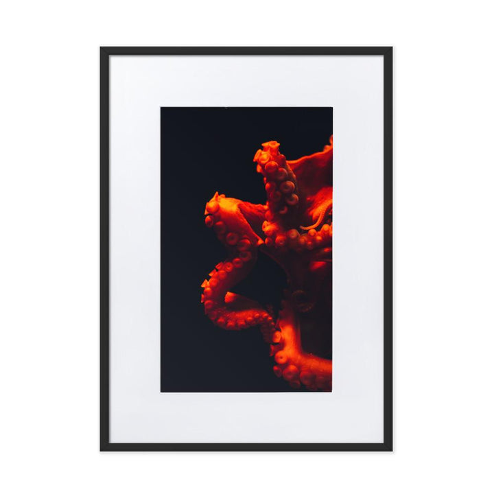 Wütender Oktopus - Poster im Rahmen mit Passepartout schwarz / 50×70 cm artlia