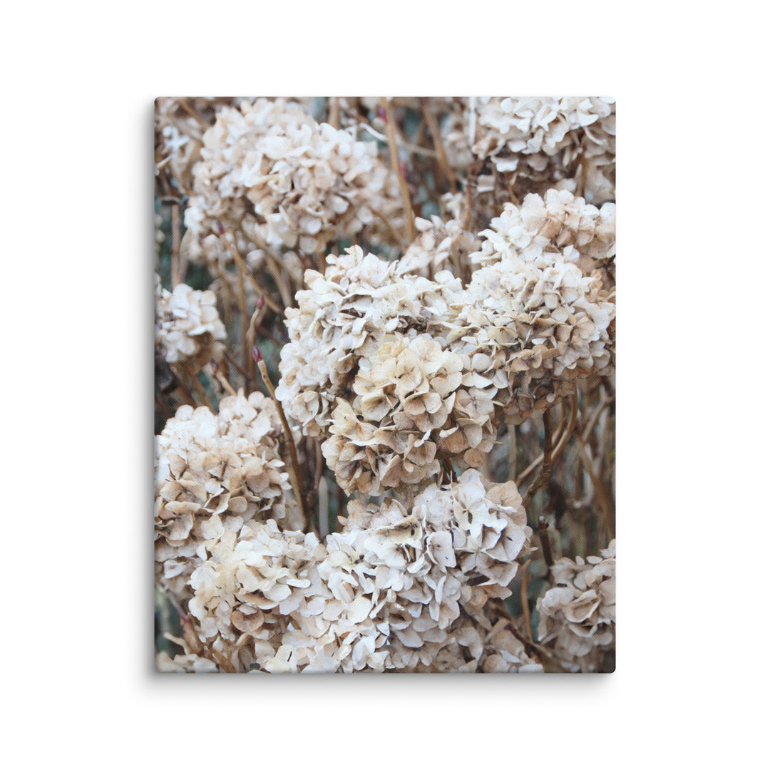 Leinwand - Zeitlose Blumen Hortensien