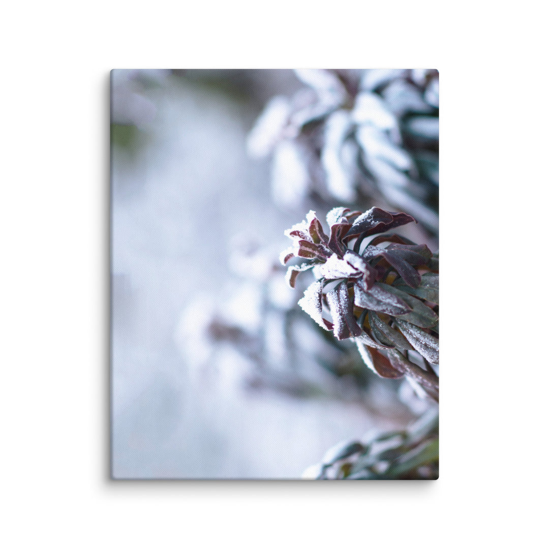Canvas - Frost on leaves, a moment in nature