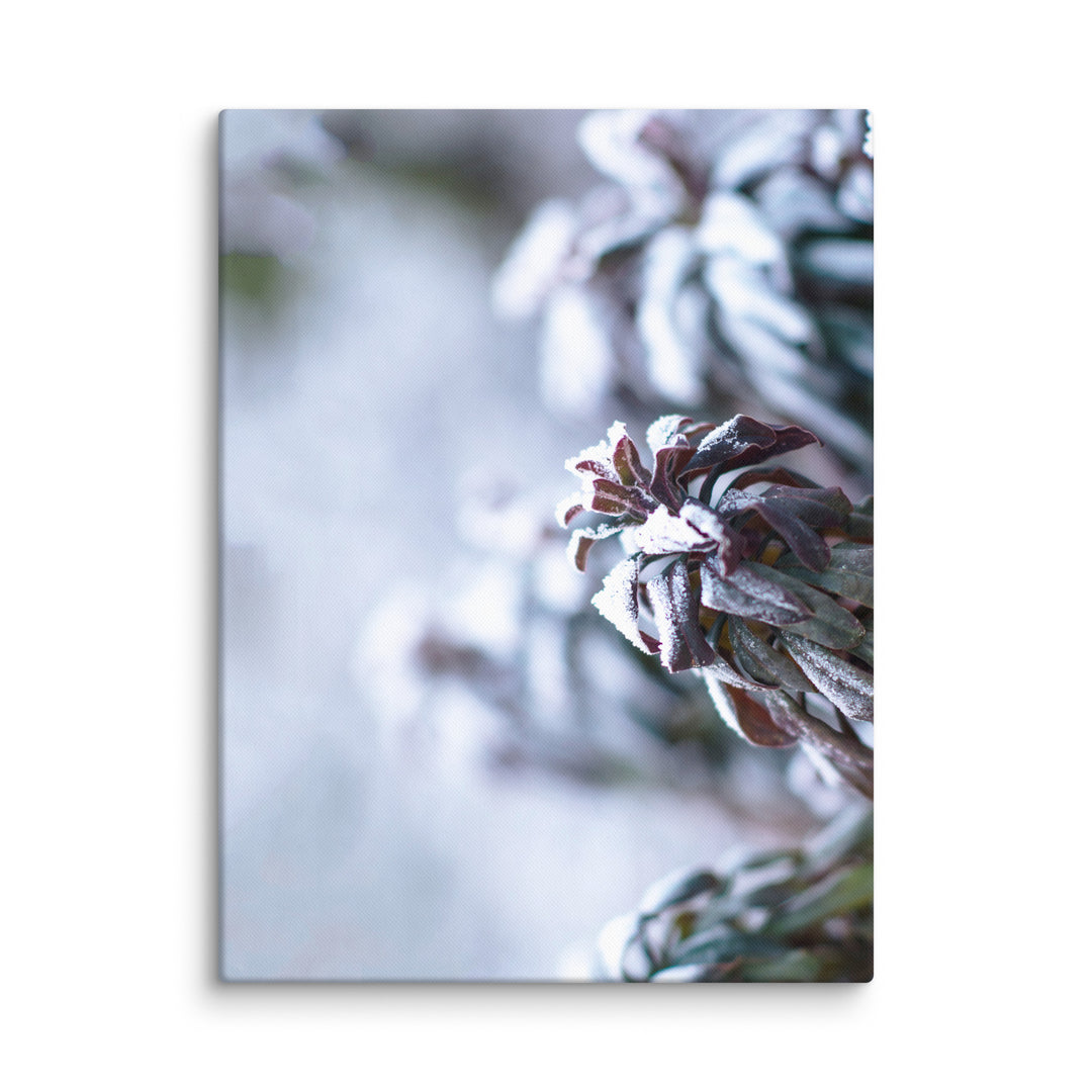 Canvas - Frost on leaves, a moment in nature