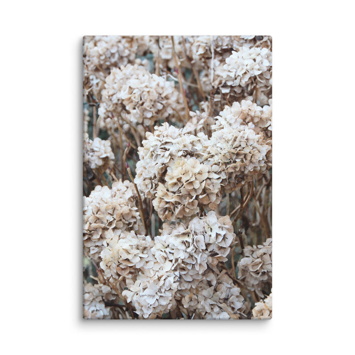 Leinwand - Zeitlose Blumen Hortensien
