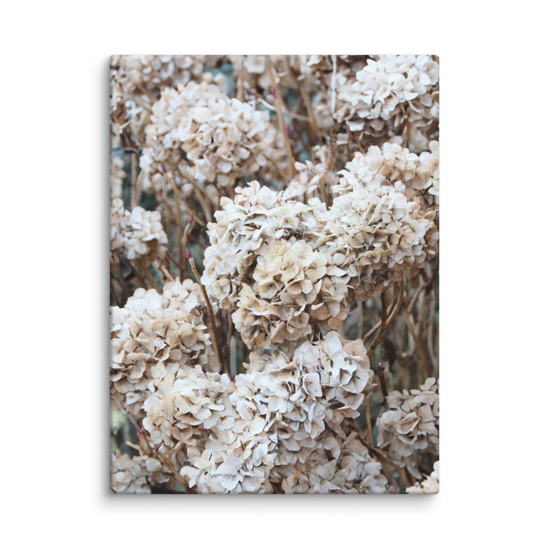 Leinwand - Zeitlose Blumen Hortensien