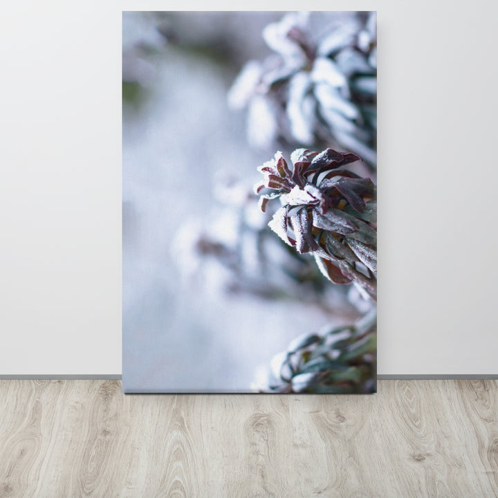 Canvas - Frost on leaves, a moment in nature