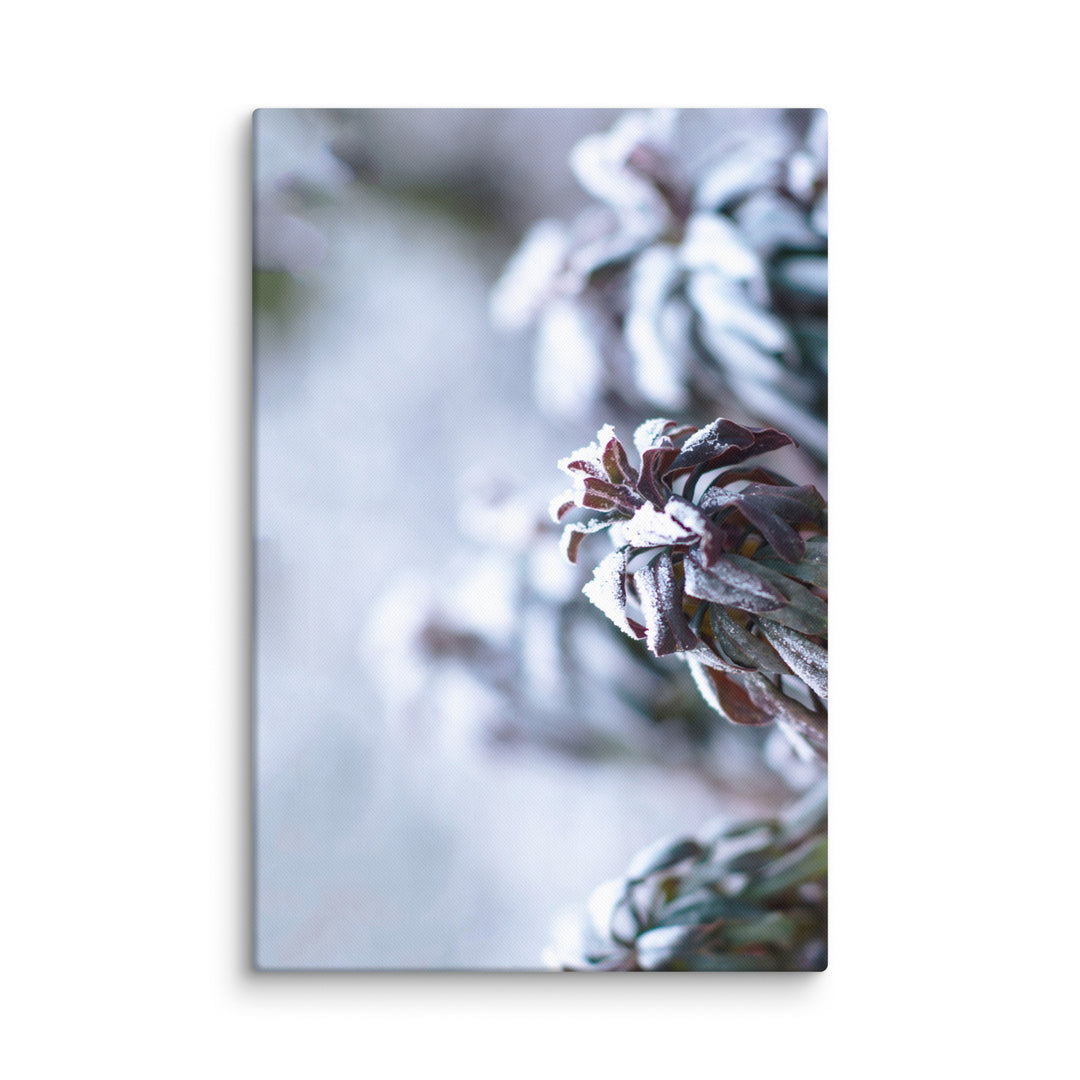 Canvas - Frost on leaves, a moment in nature